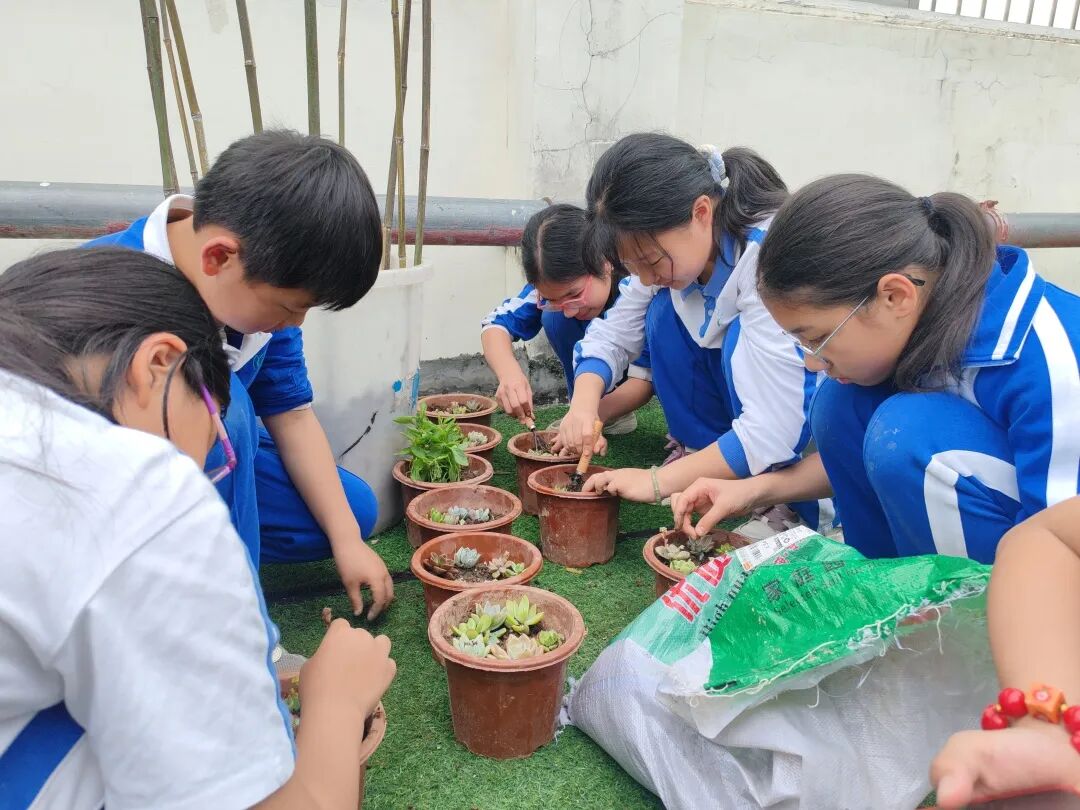 龙湖学校劳动基地2