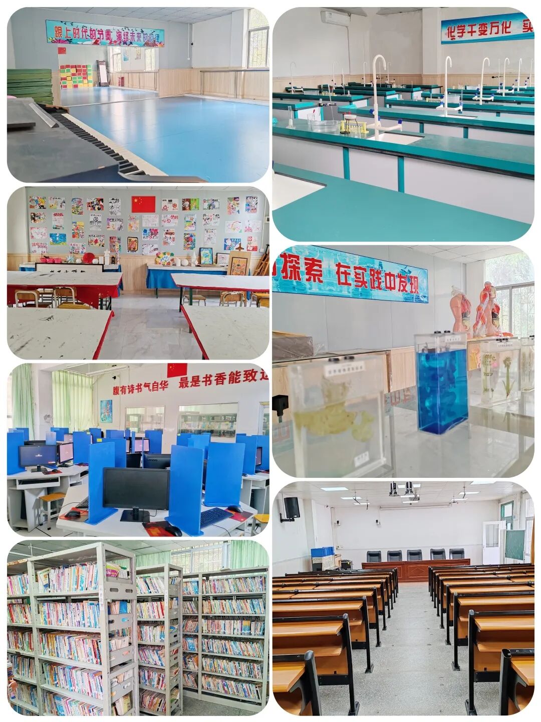 龙湖学校活力魅力八图片