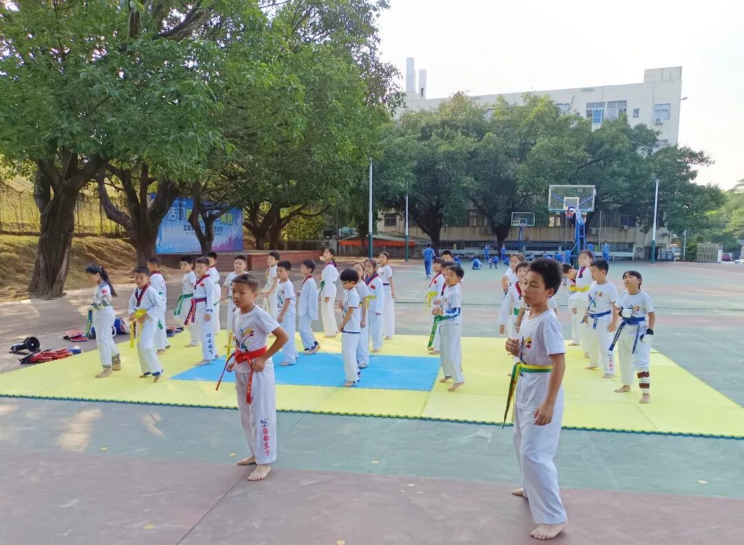 龙湖学校活力跆拳道社2