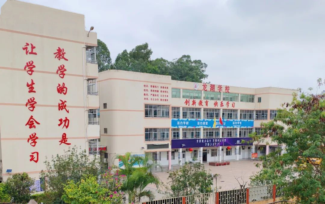 龙湖学校简介
